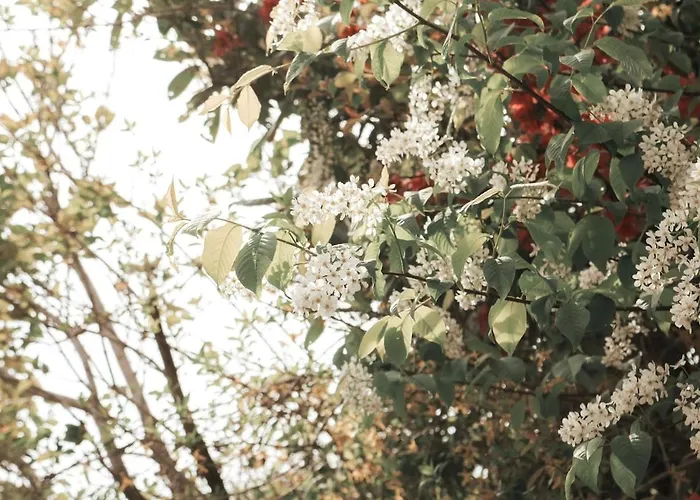 Modern Maisonette With Big Garden In Appartamento Graz