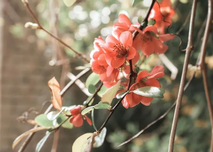 Modern Maisonette With Big Garden In Apartment *